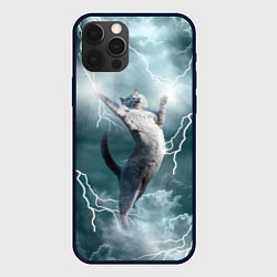 Чехол для iPhone 12 Pro Грозовой кошак, цвет: 3D-черный