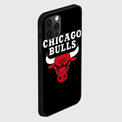 Чехол для iPhone 12 Pro CHICAGO BULLS, цвет: 3D-черный — фото 2