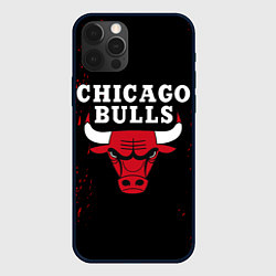 Чехол для iPhone 12 Pro CHICAGO BULLS, цвет: 3D-черный