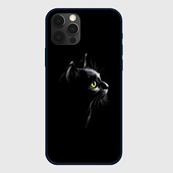 Чехол для iPhone 12 Pro Кошка, цвет: 3D-черный