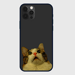 Чехол для iPhone 12 Pro Коте смотрит вверх, цвет: 3D-черный