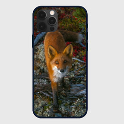 Чехол для iPhone 12 Pro Лиса, цвет: 3D-черный