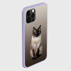 Чехол для iPhone 12 Pro Сиамский кот голубые глаза, цвет: 3D-светло-сиреневый — фото 2
