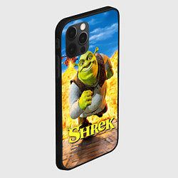 Чехол для iPhone 12 Pro Шрек и дракон, цвет: 3D-черный — фото 2