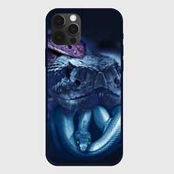 Чехол для iPhone 12 Pro Мифические змеи, цвет: 3D-черный