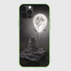 Чехол iPhone 12 Pro Мопс и луна