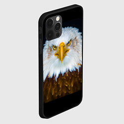 Чехол для iPhone 12 Pro Белоголовый орлан, цвет: 3D-черный — фото 2