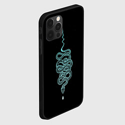 Чехол для iPhone 12 Pro Вьющаяся змея, цвет: 3D-черный — фото 2