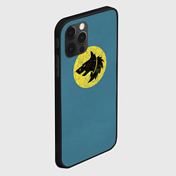 Чехол для iPhone 12 Pro Космические Волки цвет легиона 6, цвет: 3D-черный — фото 2