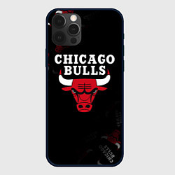 Чехол для iPhone 12 Pro ЧИКАГО БУЛЛС БЫКИ CHICAGO BULLS, цвет: 3D-черный
