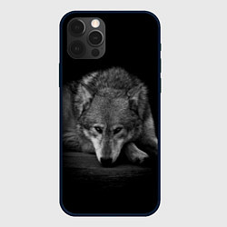 Чехол iPhone 12 Pro Волк, на черном фоне