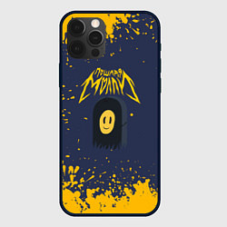 Чехол для iPhone 12 Pro Пошлая Молли брызги красок, цвет: 3D-черный