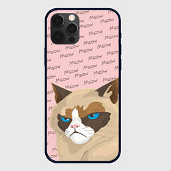 Чехол для iPhone 12 Pro Angry Cat Злой кот, цвет: 3D-черный