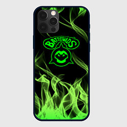 Чехол для iPhone 12 Pro Battletoads боевые жабы огонь, цвет: 3D-черный