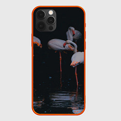 Чехол iPhone 12 Pro Фламинго - вода