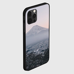 Чехол для iPhone 12 Pro Туманные горы и деревья утром, цвет: 3D-черный — фото 2