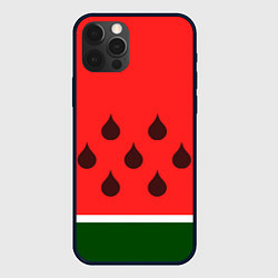 Чехол для iPhone 12 Pro Сочный летний арбуз, цвет: 3D-черный