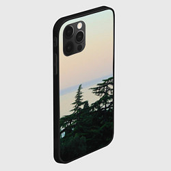 Чехол для iPhone 12 Pro Мягкий рассвет, цвет: 3D-черный — фото 2