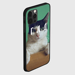 Чехол для iPhone 12 Pro Мем с котом - голод, цвет: 3D-черный — фото 2