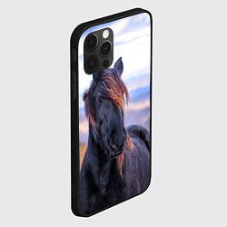 Чехол для iPhone 12 Pro Черный конь, цвет: 3D-черный — фото 2