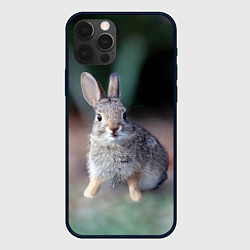 Чехол для iPhone 12 Pro Малыш кролик, цвет: 3D-черный