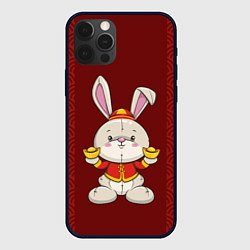 Чехол iPhone 12 Pro Китайский кролик