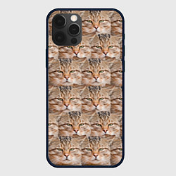 Чехол для iPhone 12 Pro Кот - Гипнокот, цвет: 3D-черный