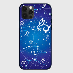 Чехол iPhone 12 Pro Кролик символ 2023 на карте звездного неба