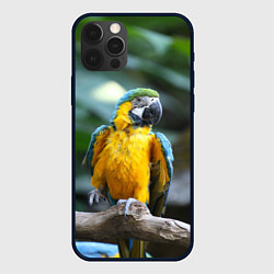 Чехол для iPhone 12 Pro Красавец попугай, цвет: 3D-черный