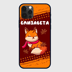 Чехол для iPhone 12 Pro Елизавета осенняя лисичка, цвет: 3D-черный