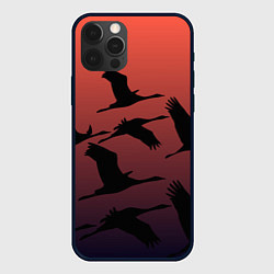 Чехол для iPhone 12 Pro Лебединая стая в ночи, цвет: 3D-черный