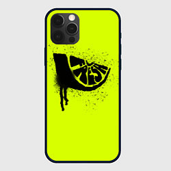 Чехол для iPhone 12 Pro Fresh lime, цвет: 3D-черный