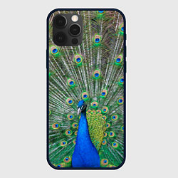 Чехол для iPhone 12 Pro Величественный павлин, цвет: 3D-черный
