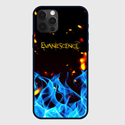 Чехол для iPhone 12 Pro Evanescence огонь рок группа, цвет: 3D-черный