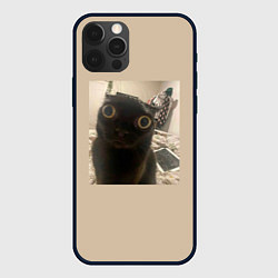 Чехол для iPhone 12 Pro Котик из мема, цвет: 3D-черный