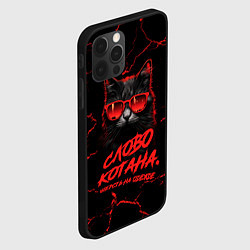 Чехол для iPhone 12 Pro Слово котана - шерсть на одежде, цвет: 3D-черный — фото 2