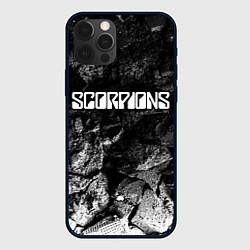 Чехол для iPhone 12 Pro Scorpions black graphite, цвет: 3D-черный