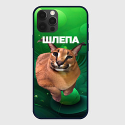 Чехол для iPhone 12 Pro Довольный кот Шлепа, цвет: 3D-черный