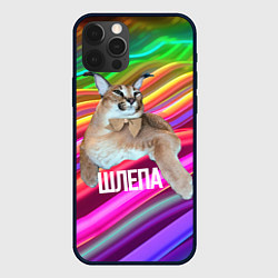 Чехол для iPhone 12 Pro Мем кот Шлепа, цвет: 3D-черный