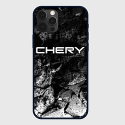 Чехол iPhone 12 Pro Chery black graphite