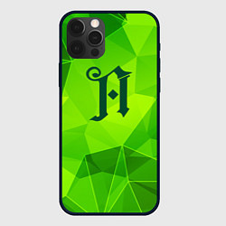 Чехол для iPhone 12 Pro Architects green poly, цвет: 3D-черный