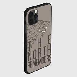 Чехол для iPhone 12 Pro The North Remembers game of thrones, цвет: 3D-черный — фото 2