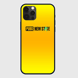 Чехол для iPhone 12 Pro PUBG gradient steel, цвет: 3D-черный