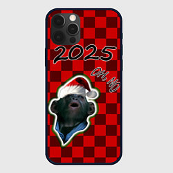 Чехол для iPhone 12 Pro Новогодняя обезьяна oh, no, цвет: 3D-черный