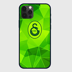 Чехол для iPhone 12 Pro Galatasaray green poly, цвет: 3D-черный