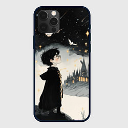 Чехол для iPhone 12 Pro Гарри Поттер и совы, цвет: 3D-черный