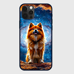 Чехол для iPhone 12 Pro Финский лаппхунд в космосе, цвет: 3D-черный