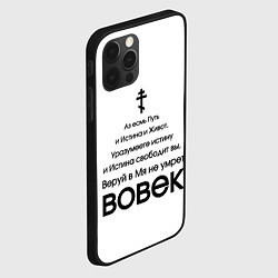 Чехол для iPhone 12 Pro Путь и истина и живот черный арт, цвет: 3D-черный — фото 2