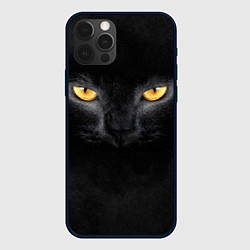 Чехол для iPhone 12 Pro Черная кошка, цвет: 3D-черный