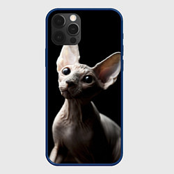 Чехол для iPhone 12 Pro Котик сфинкс, цвет: 3D-тёмно-синий